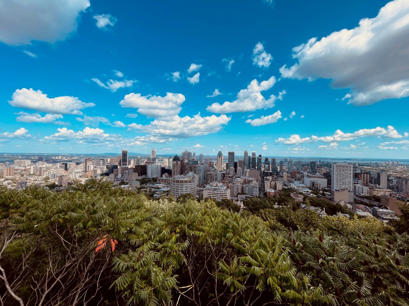 Ein Blick von einem Hügel auf Montreal City