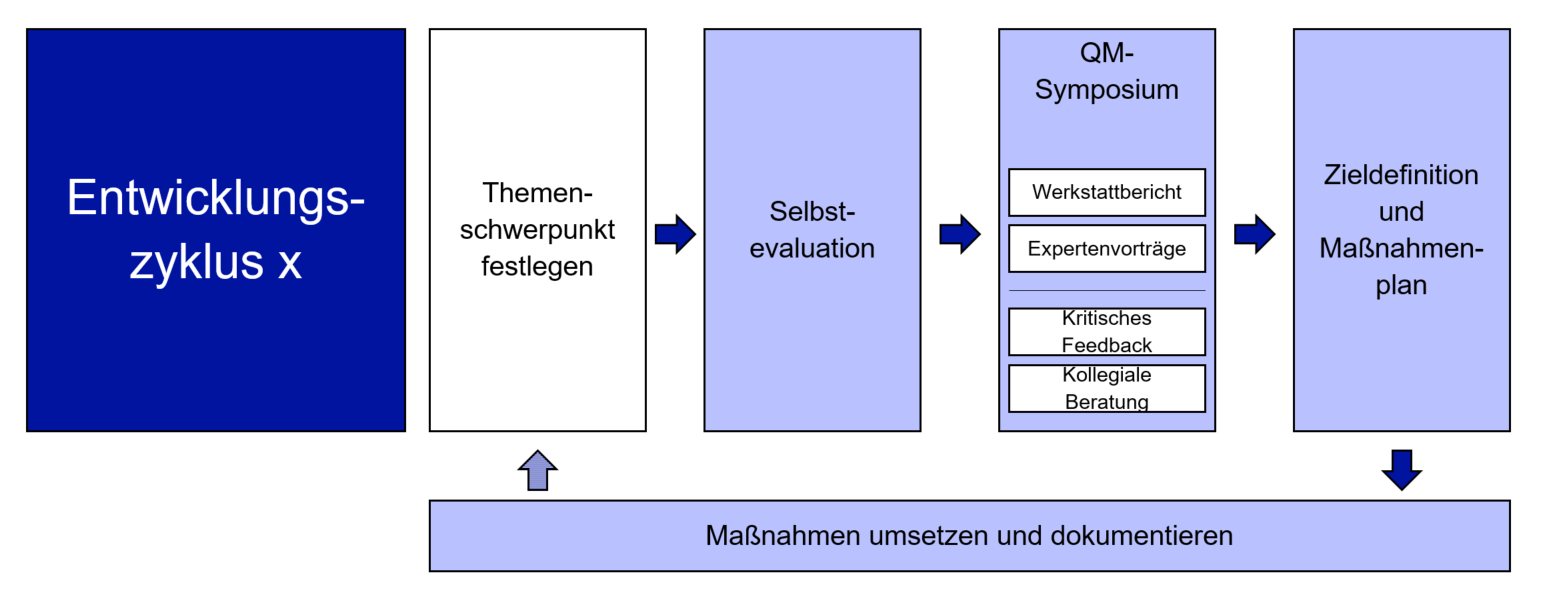 Abb. 1: Kernelemente der kumulativen Systemreakkreditierung der FH Münster